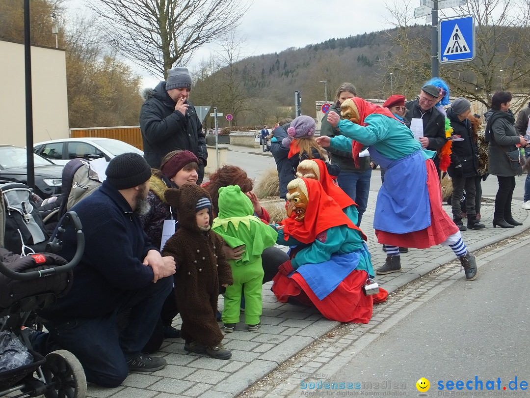 Fasnetsumzug, Narrensprung mit ueber 1200 Narren: Zwiefalten, 23.02.2020