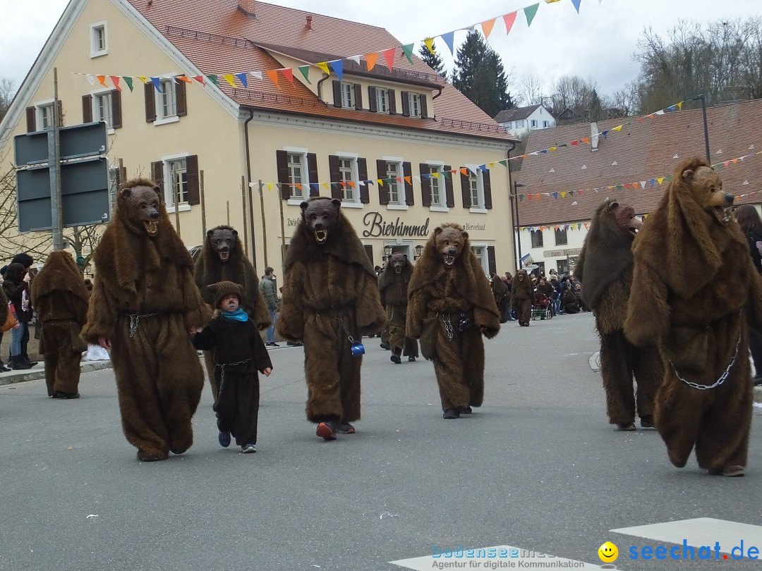 Fasnetsumzug, Narrensprung mit ueber 1200 Narren: Zwiefalten, 23.02.2020