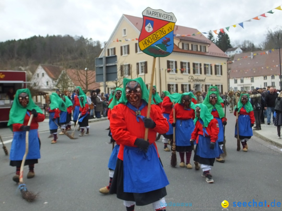 Fasnetsumzug, Narrensprung mit ueber 1200 Narren: Zwiefalten, 23.02.2020