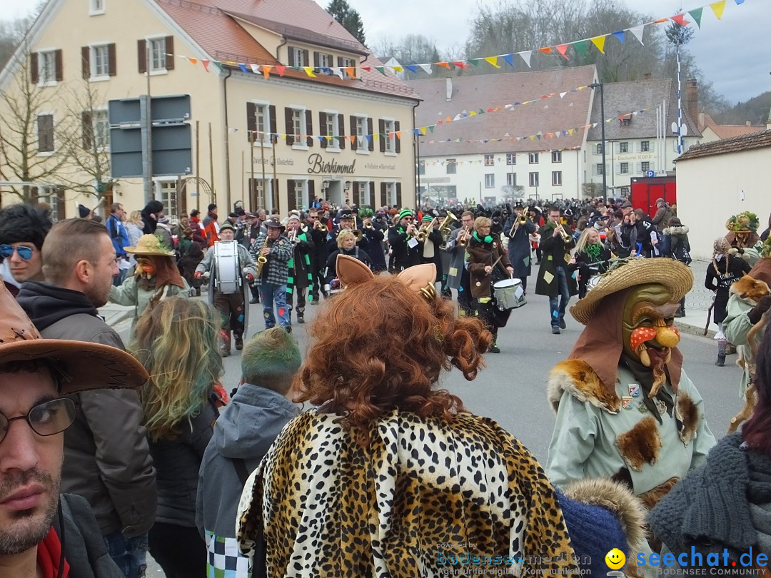 Fasnetsumzug, Narrensprung mit ueber 1200 Narren: Zwiefalten, 23.02.2020