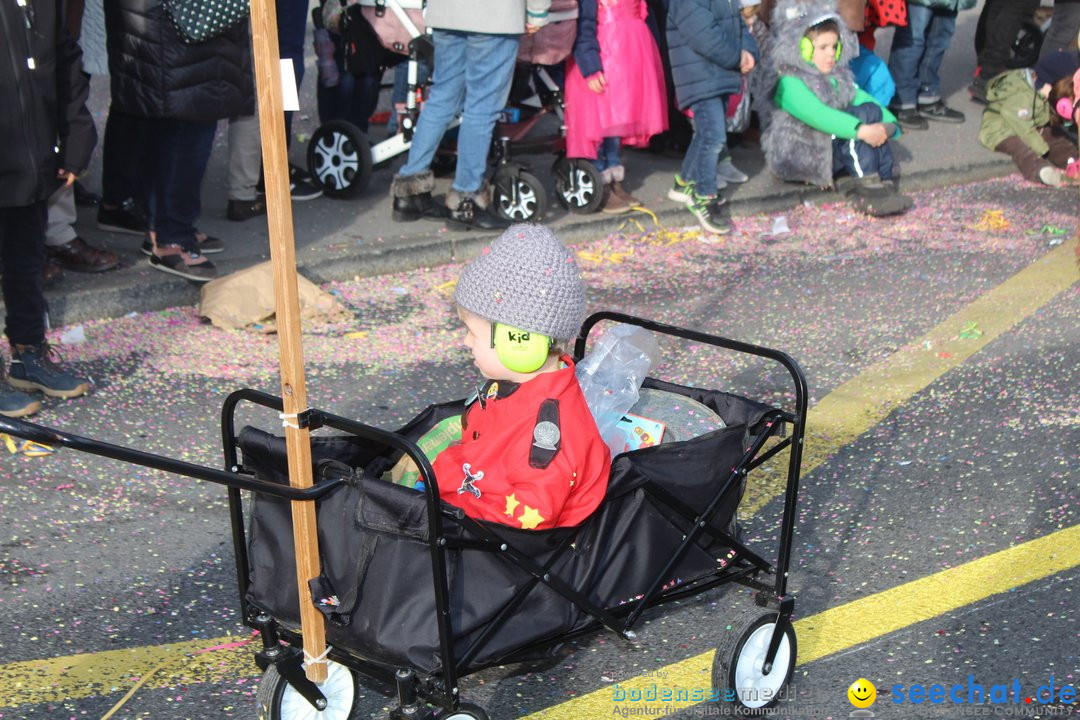 Fasnachtsumzug am Vierwaldstaettersee: Kriens, 25.02.2020