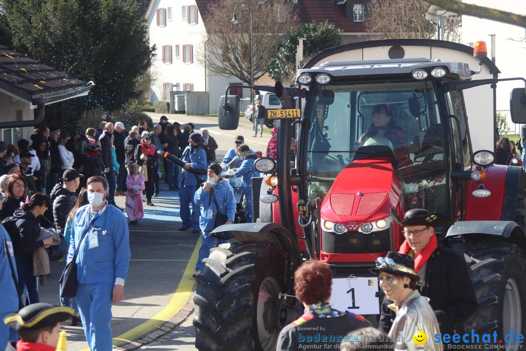 Fasnachtsumzug - Glattfelden am Zuerisee - Schweiz, 01.03.2020