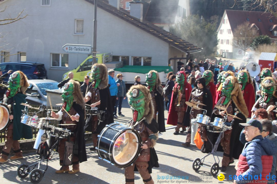 Fasnachtsumzug - Glattfelden am Zuerisee - Schweiz, 01.03.2020