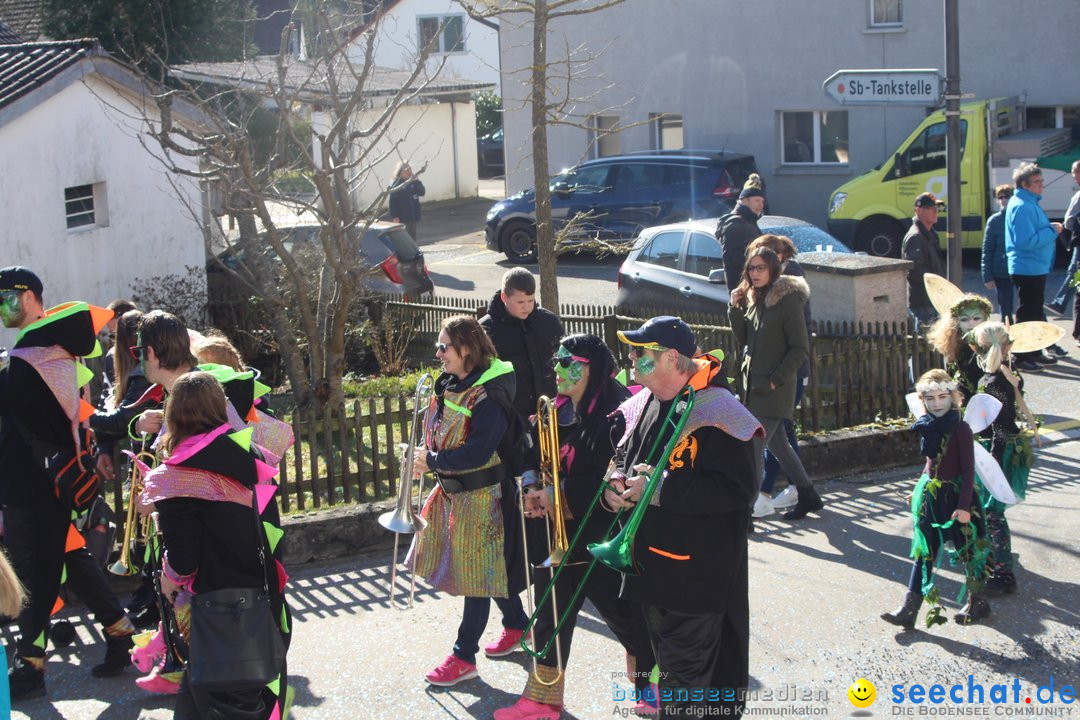 Fasnachtsumzug - Glattfelden am Zuerisee - Schweiz, 01.03.2020