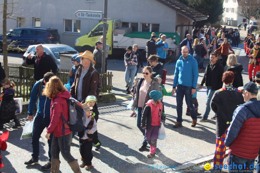 Fasnachtsumzug - Glattfelden am Zuerisee - Schweiz, 01.03.2020