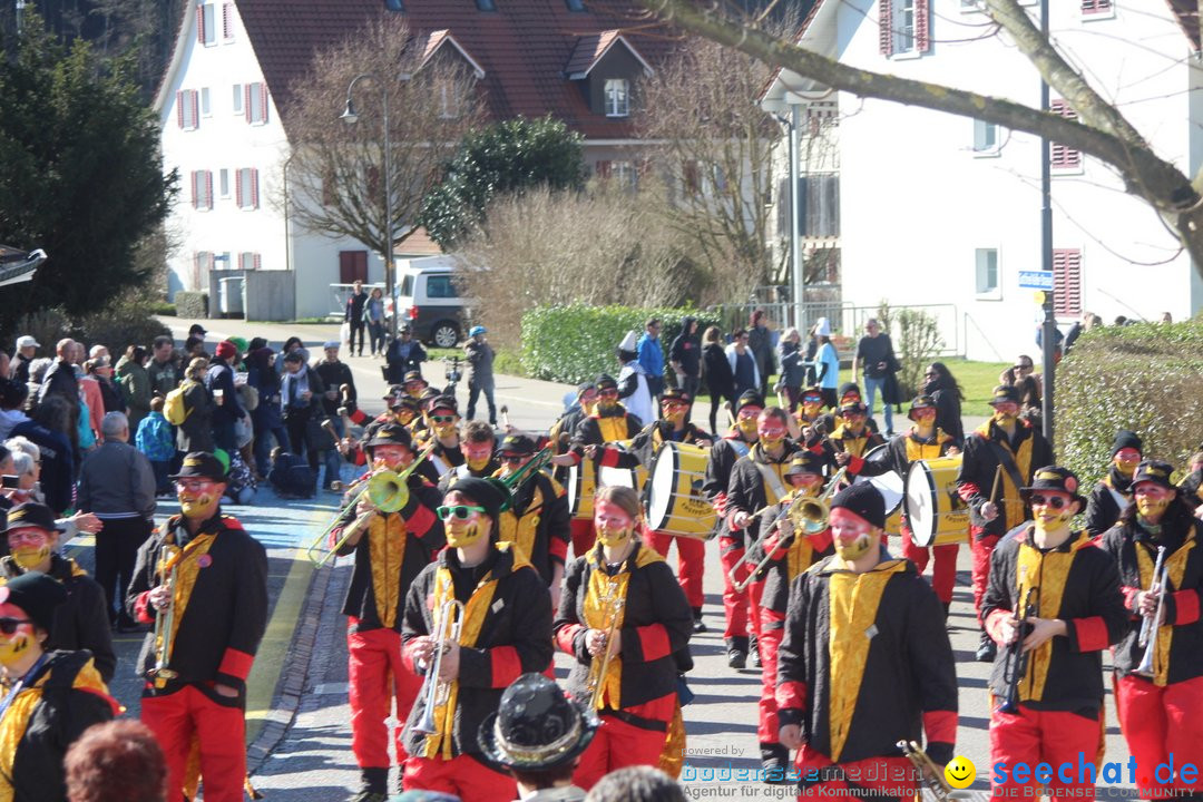 Fasnachtsumzug - Glattfelden am Zuerisee - Schweiz, 01.03.2020