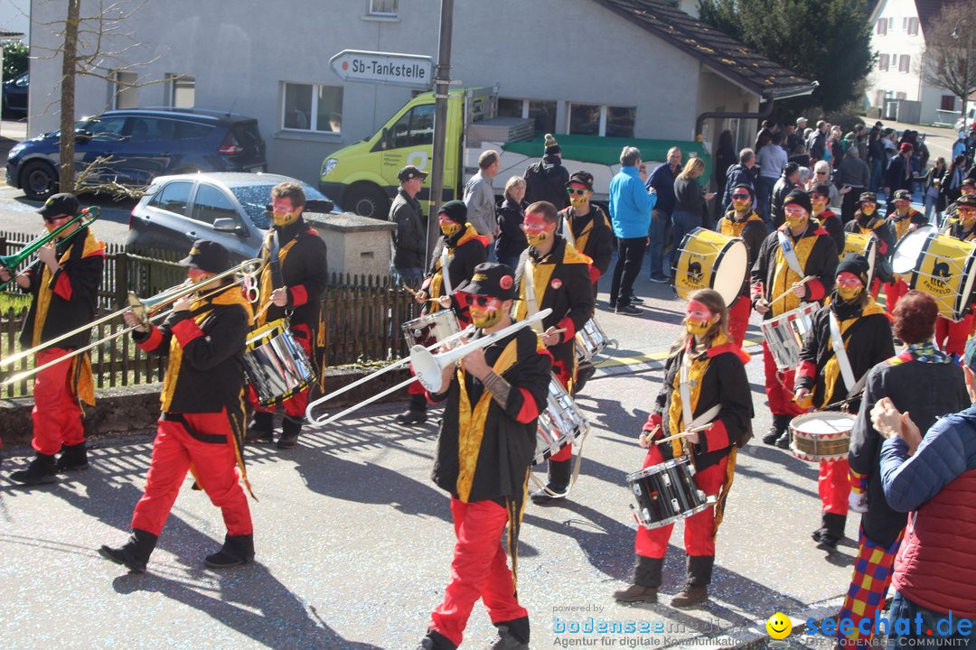 Fasnachtsumzug - Glattfelden am Zuerisee - Schweiz, 01.03.2020