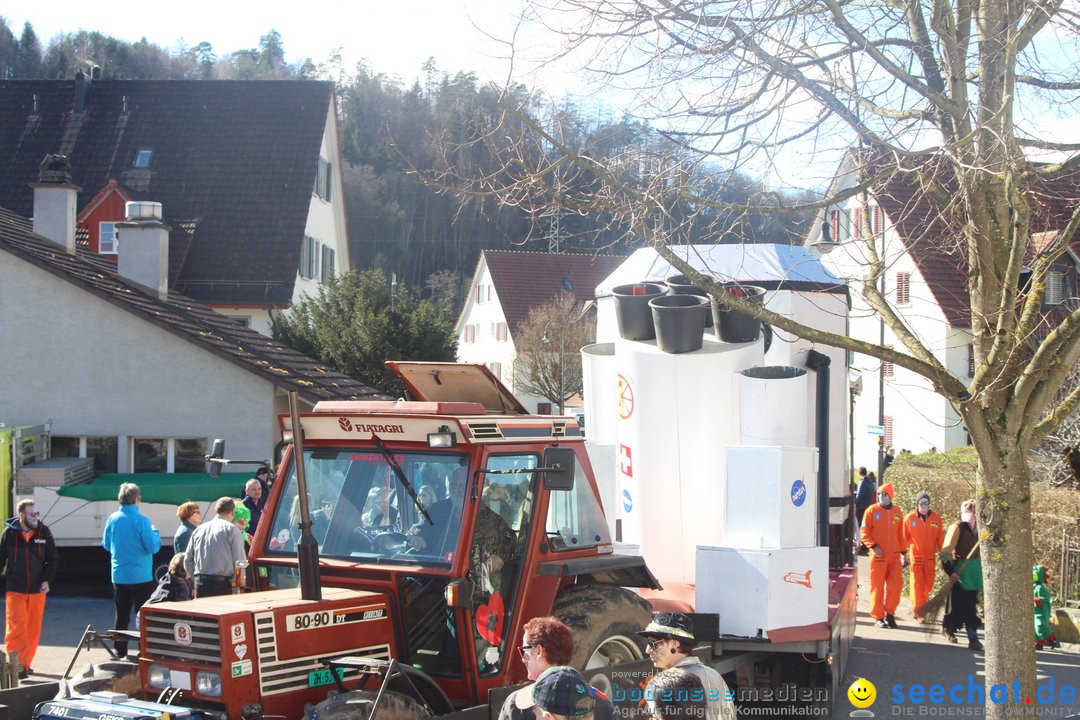 Fasnachtsumzug - Glattfelden am Zuerisee - Schweiz, 01.03.2020