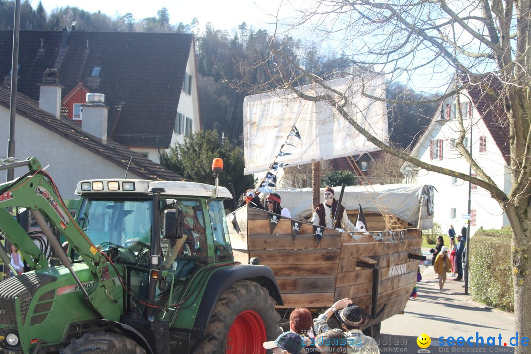 Fasnachtsumzug - Glattfelden am Zuerisee - Schweiz, 01.03.2020