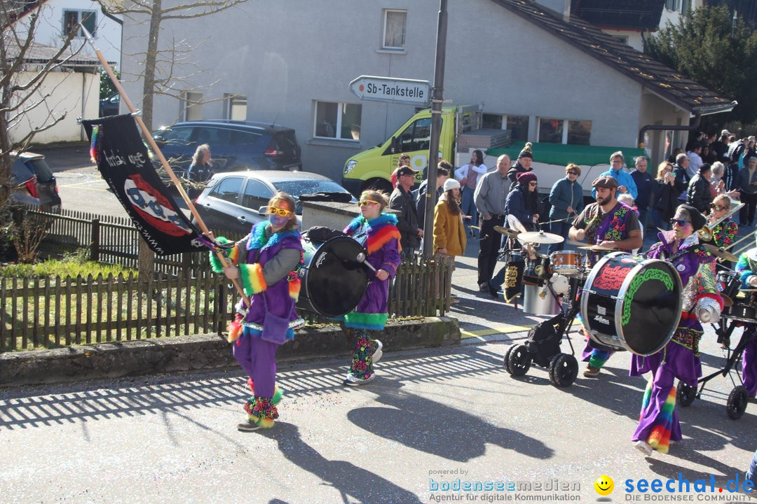 Fasnachtsumzug - Glattfelden am Zuerisee - Schweiz, 01.03.2020