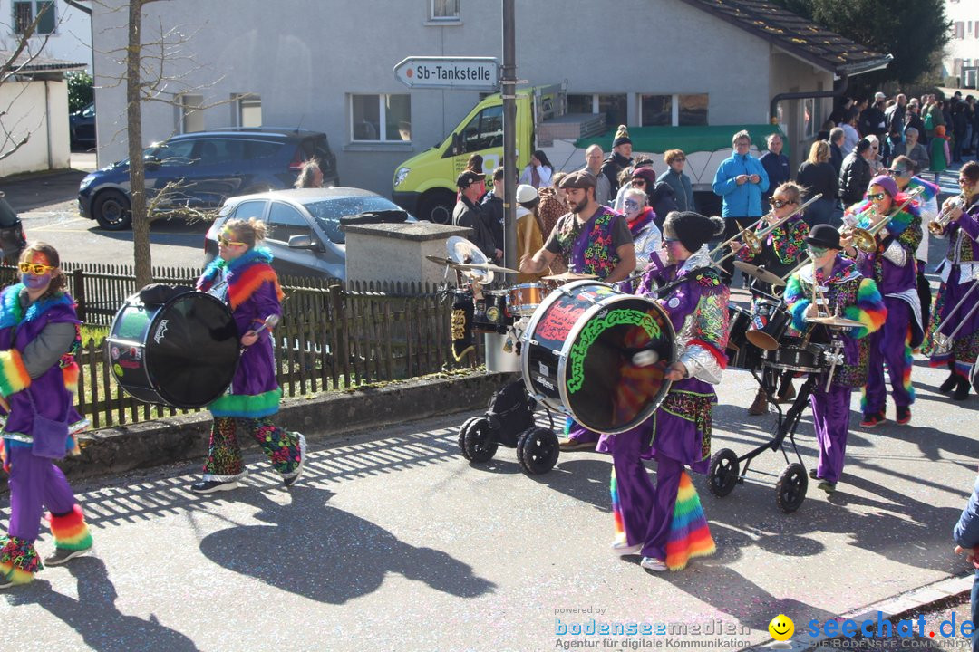 Fasnachtsumzug - Glattfelden am Zuerisee - Schweiz, 01.03.2020