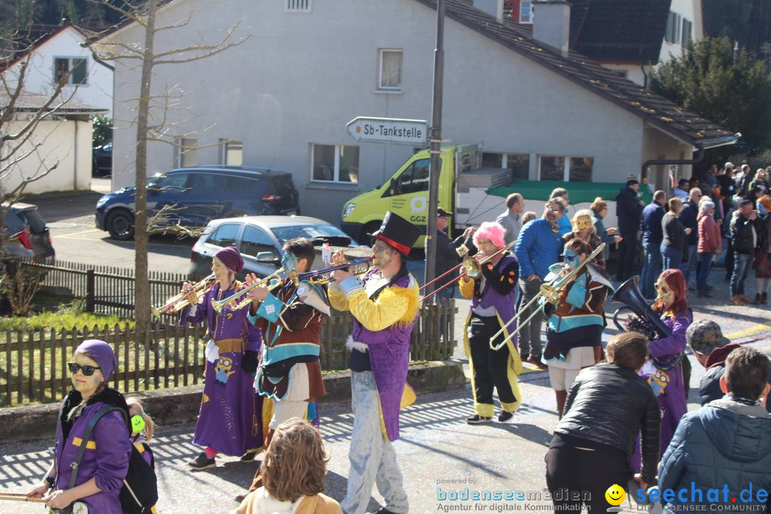 Fasnachtsumzug - Glattfelden am Zuerisee - Schweiz, 01.03.2020