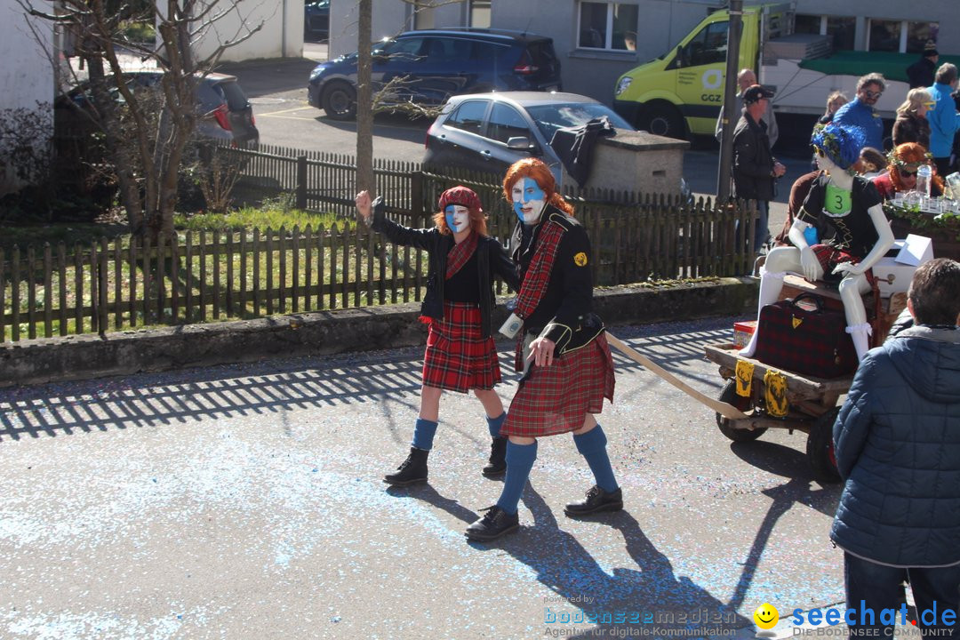 Fasnachtsumzug - Glattfelden am Zuerisee - Schweiz, 01.03.2020