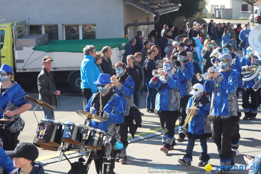 Fasnachtsumzug - Glattfelden am Zuerisee - Schweiz, 01.03.2020