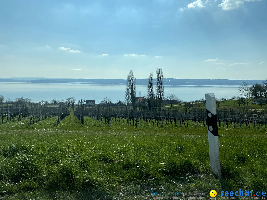 Corona-Virus - Covid-19 in der Bodensee-Region 2020