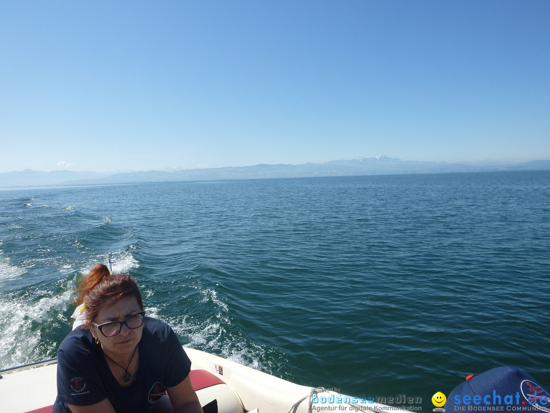 BODENSEEBOOT Breitenquerung, Nina Kring: Friedrichshafen, 23.06.20