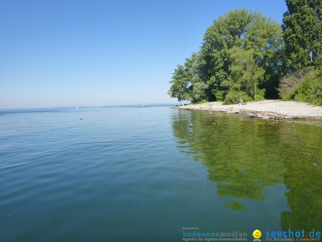 BODENSEEBOOT-Friedrichshafen-240620-Bodensee-Community-SEECHAT_DE-P1050480