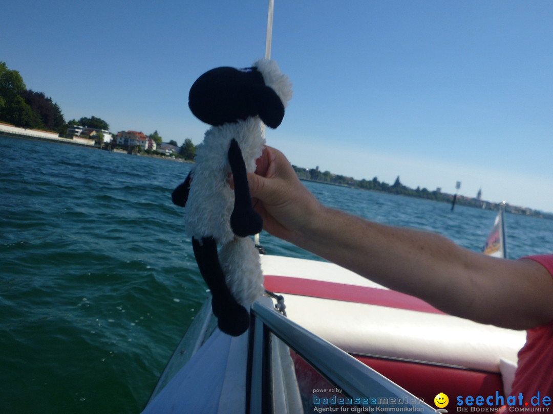 BODENSEEBOOT-Friedrichshafen-240620-Bodensee-Community-SEECHAT_DE-P1050525