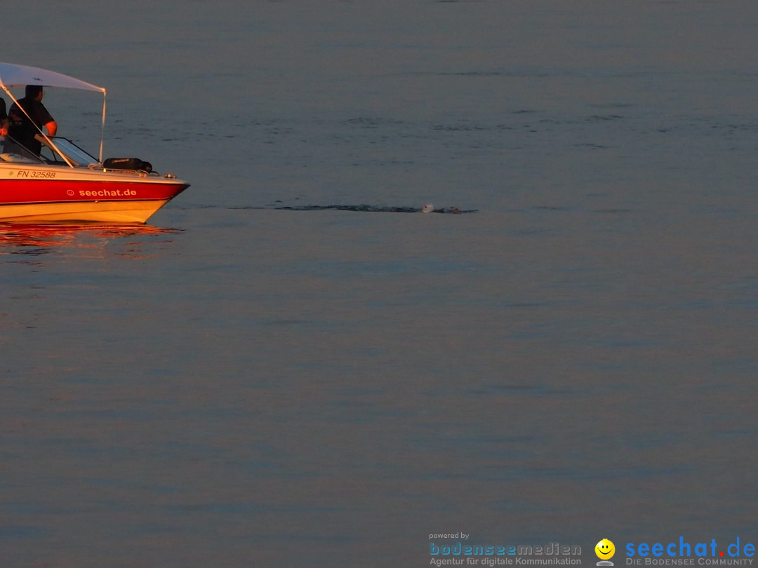 BODENSEEBOOT.DE 2fache SeeQuerung- Cyril Spuler: Romanshorn 19.07.2020