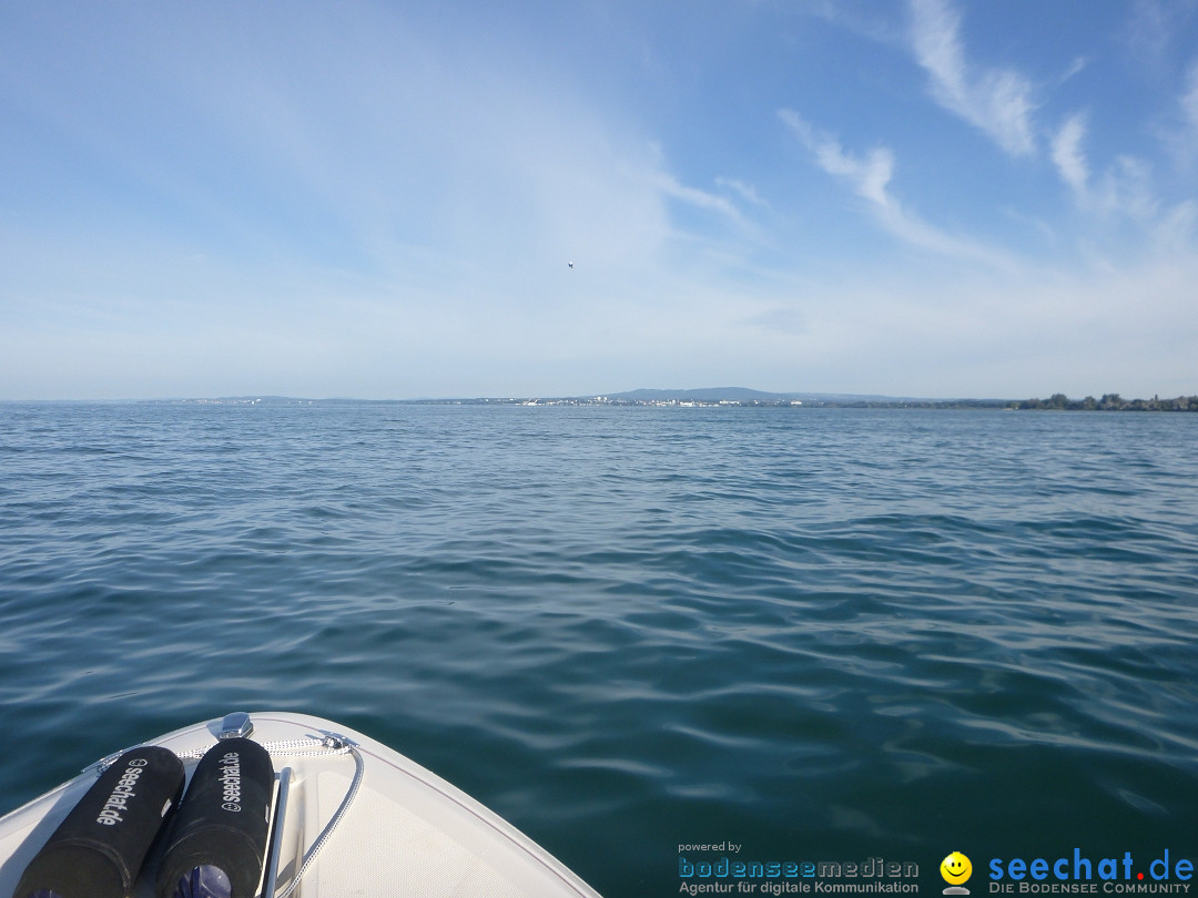 BODENSEEBOOT.DE Bodensee Querung, Thorsten Ratzlaff: Friedrichshafen, 25.08