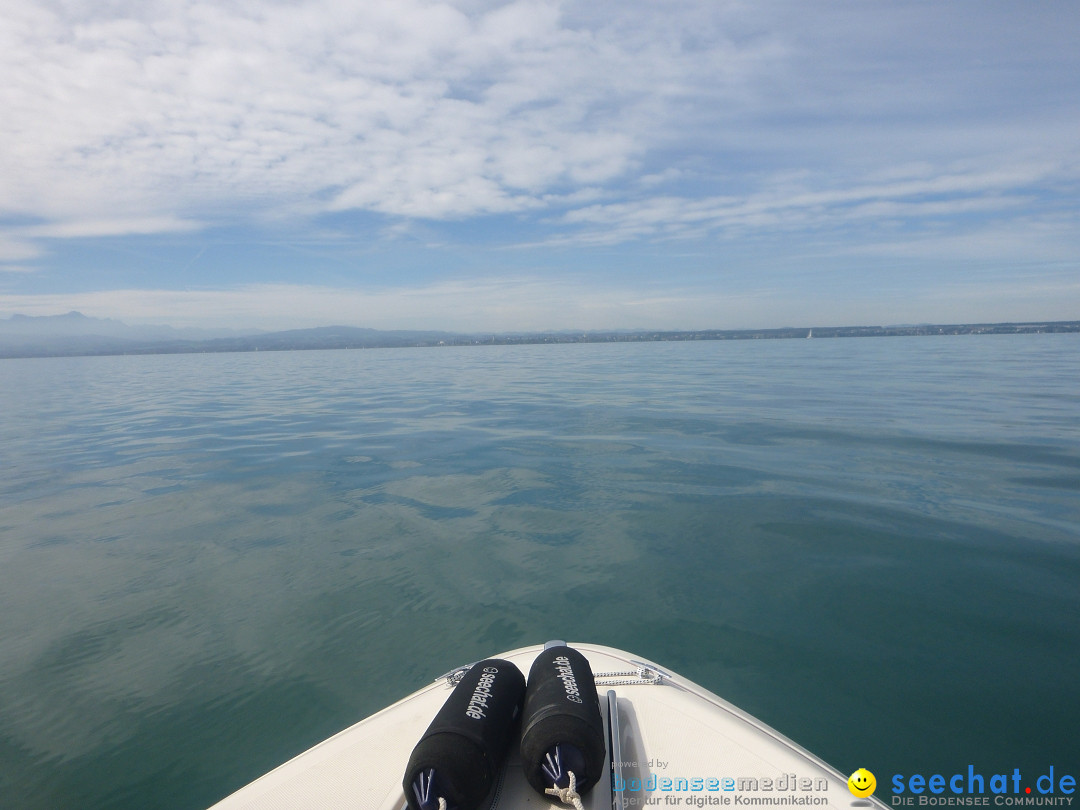 BODENSEEBOOT.DE Bodensee Querung, Thorsten Ratzlaff: Friedrichshafen, 25.08