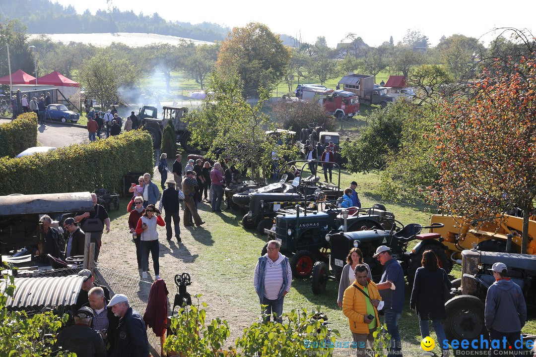 Patina-Treffen: Auto-Traktor Museum Bodensee, Uhldingen, 09.10.2021