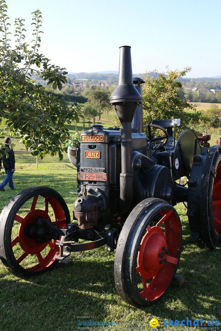 Patina-Treffen: Auto-Traktor Museum Bodensee, Uhldingen, 09.10.2021