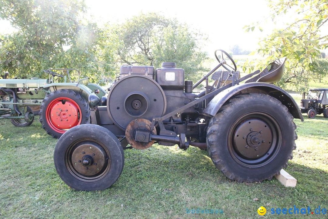 Patina-Treffen: Auto-Traktor Museum Bodensee, Uhldingen, 09.10.2021