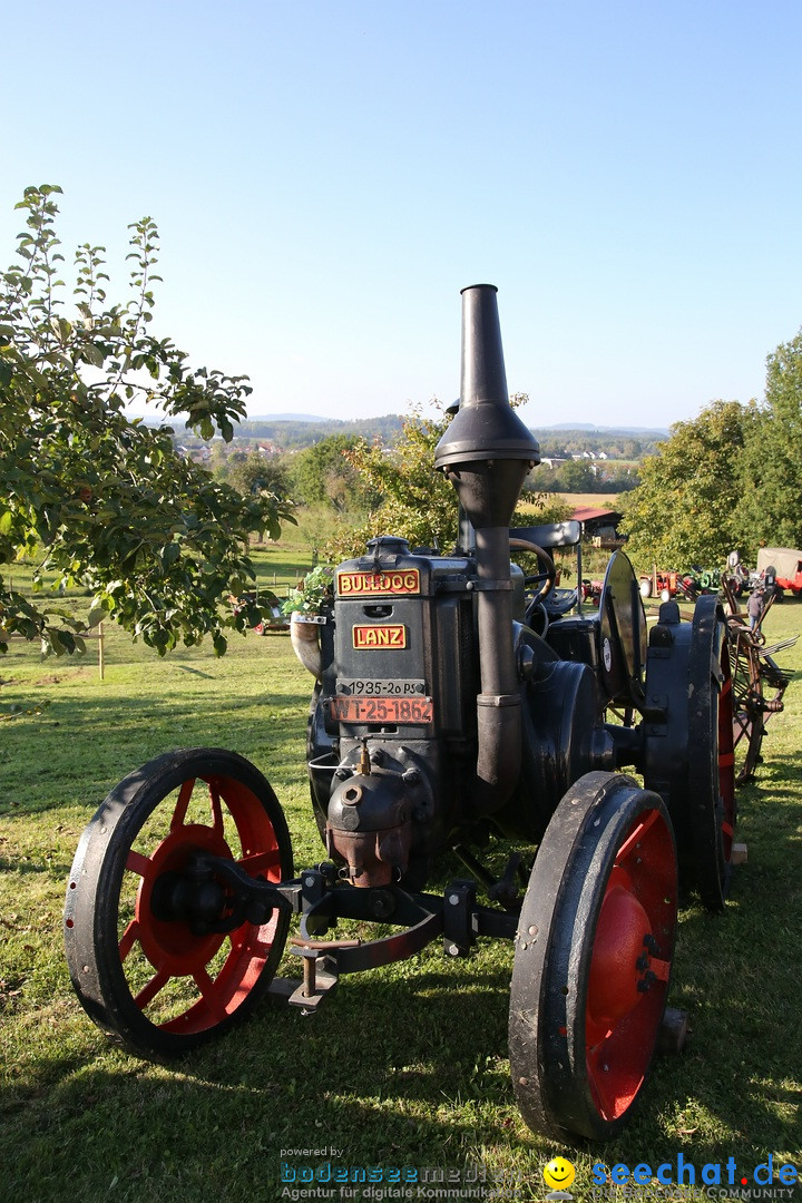 Patina-Treffen: Auto-Traktor Museum Bodensee, Uhldingen, 09.10.2021