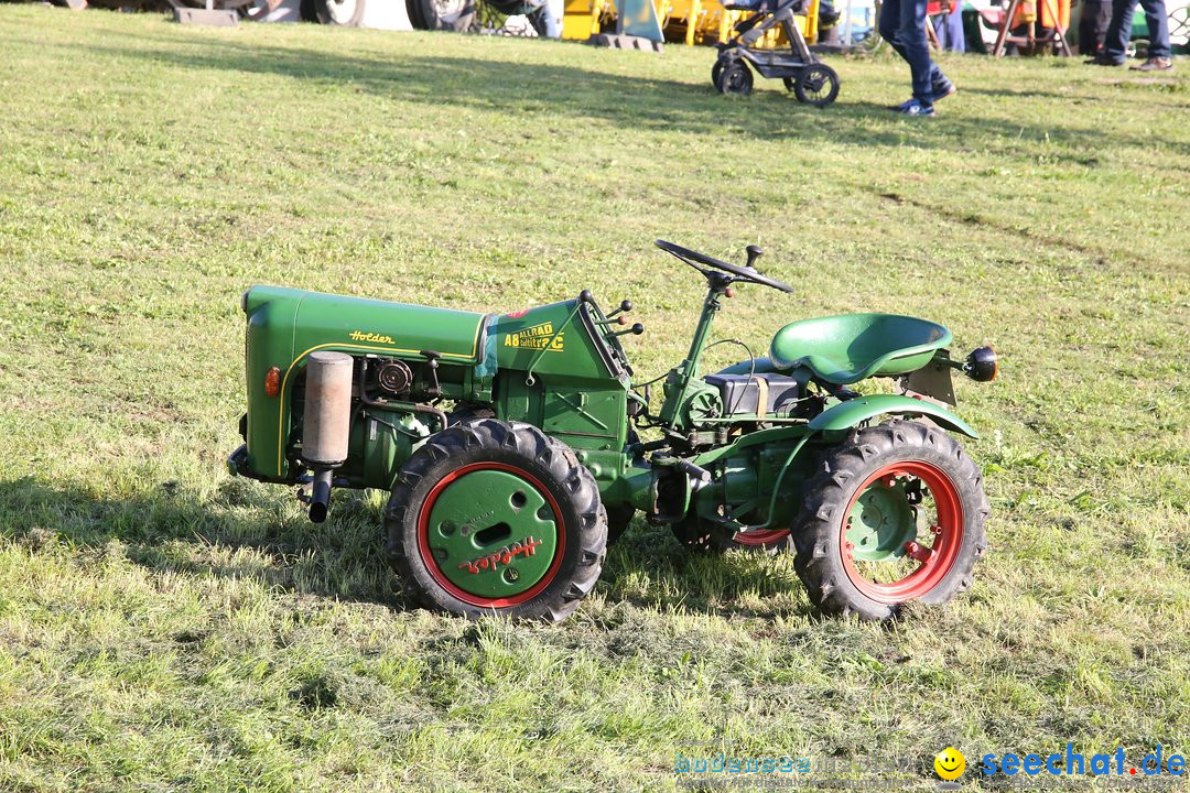 Patina-Treffen: Auto-Traktor Museum Bodensee, Uhldingen, 09.10.2021