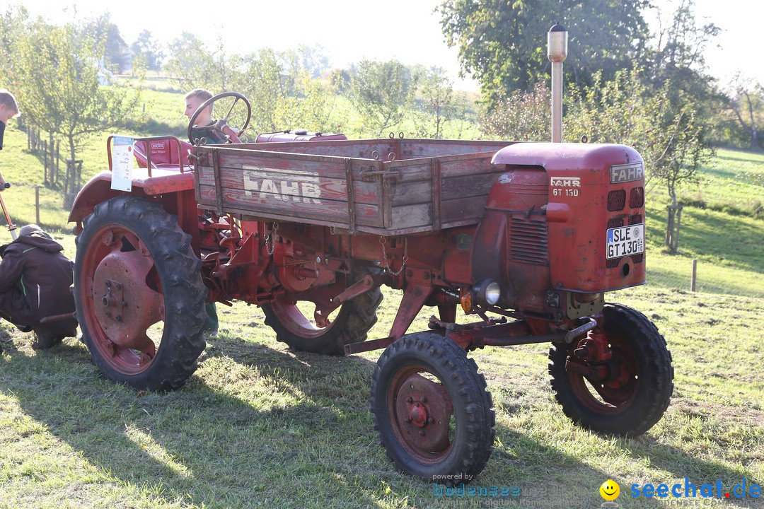 Patina-Treffen: Auto-Traktor Museum Bodensee, Uhldingen, 09.10.2021