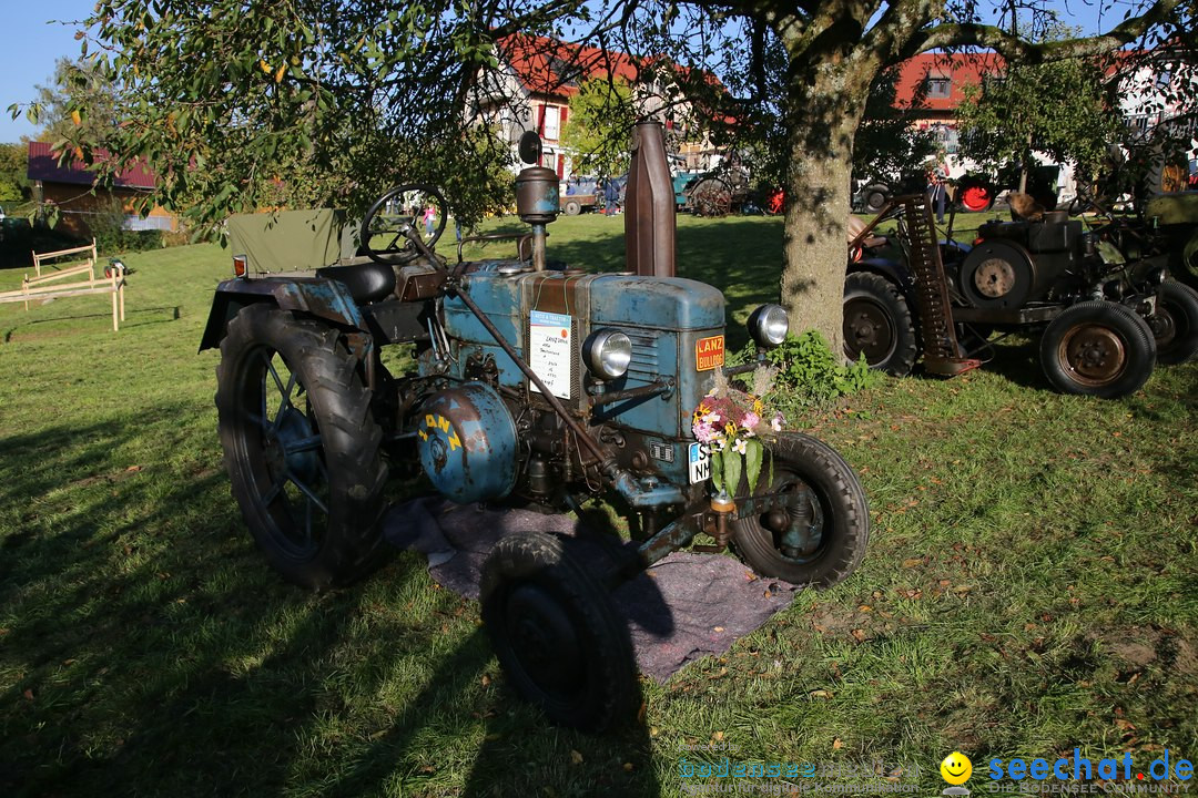 Patina-Treffen: Auto-Traktor Museum Bodensee, Uhldingen, 09.10.2021