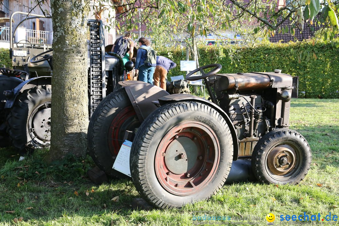 Patina-Treffen: Auto-Traktor Museum Bodensee, Uhldingen, 09.10.2021