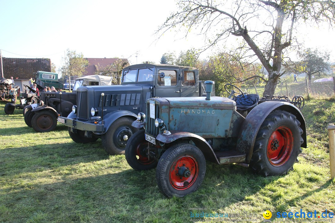 Patina-Treffen: Auto-Traktor Museum Bodensee, Uhldingen, 09.10.2021