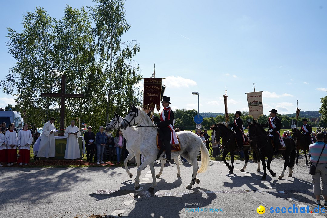 Blutritt: Weingarten, 27.05.2022