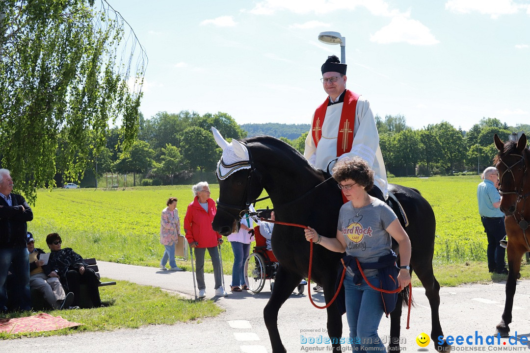 Blutritt: Weingarten, 27.05.2022