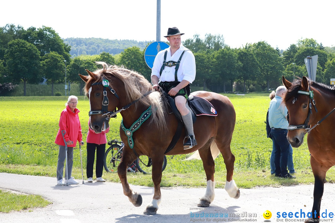 Blutritt: Weingarten, 27.05.2022