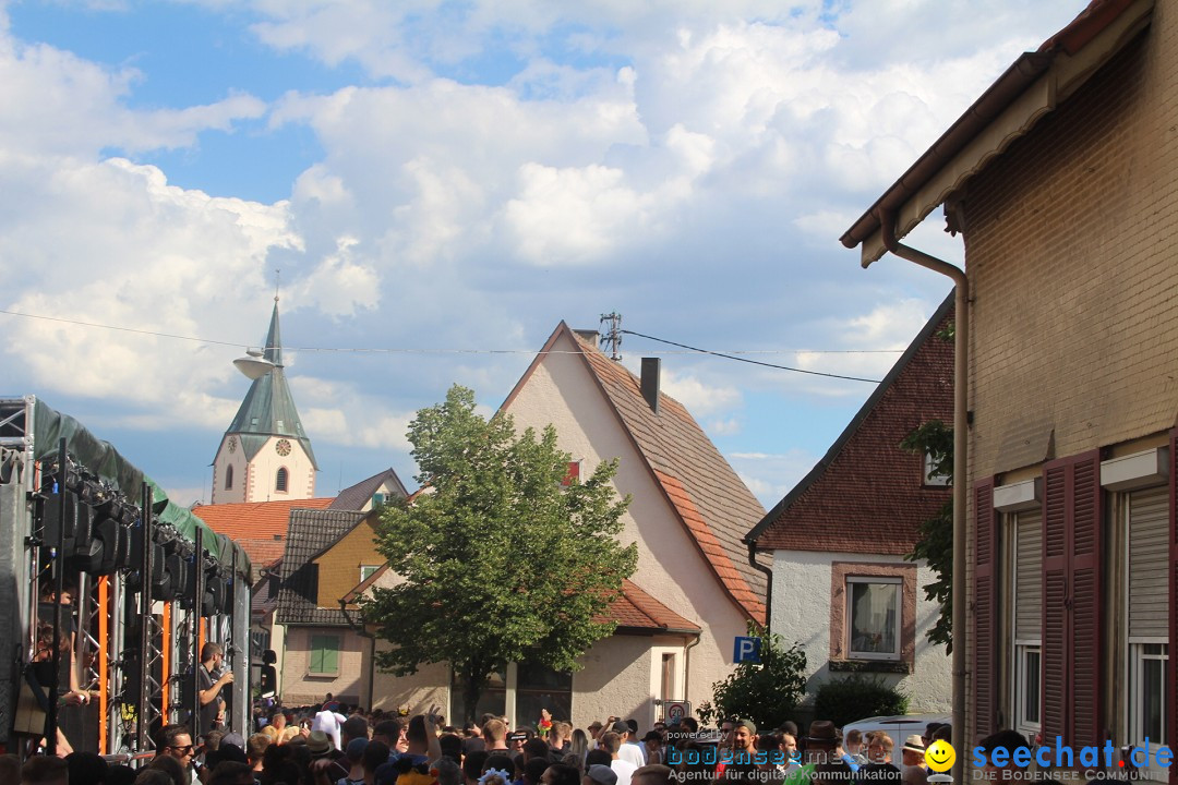 Beatparade - Techno Parade: Empfingen, 30.07.2022