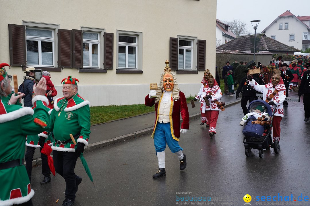 Fasnetsumzug: Heiligenberg am Bodensee, 08.01.2023