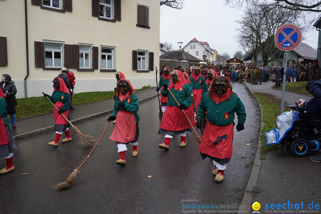 Fasnetsumzug: Heiligenberg am Bodensee, 08.01.2023