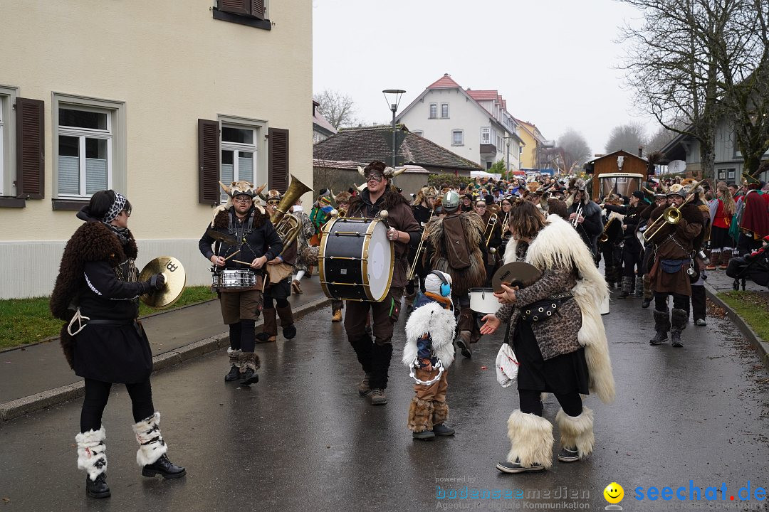 Fasnetsumzug: Heiligenberg am Bodensee, 08.01.2023