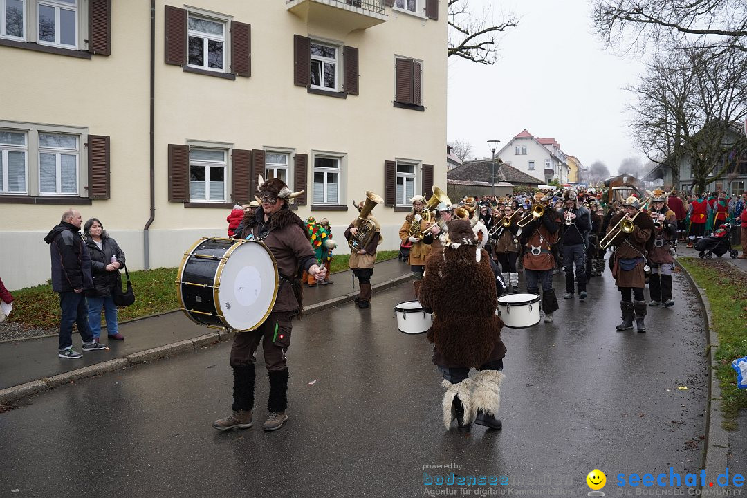 Fasnetsumzug: Heiligenberg am Bodensee, 08.01.2023