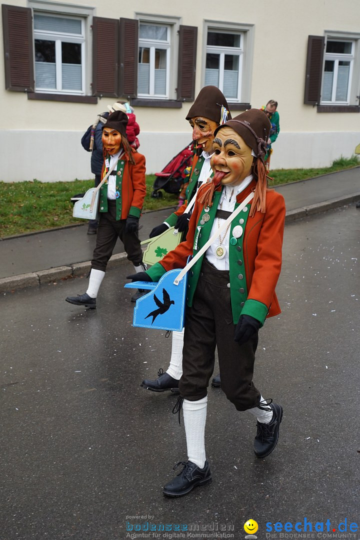 Fasnetsumzug: Heiligenberg am Bodensee, 08.01.2023