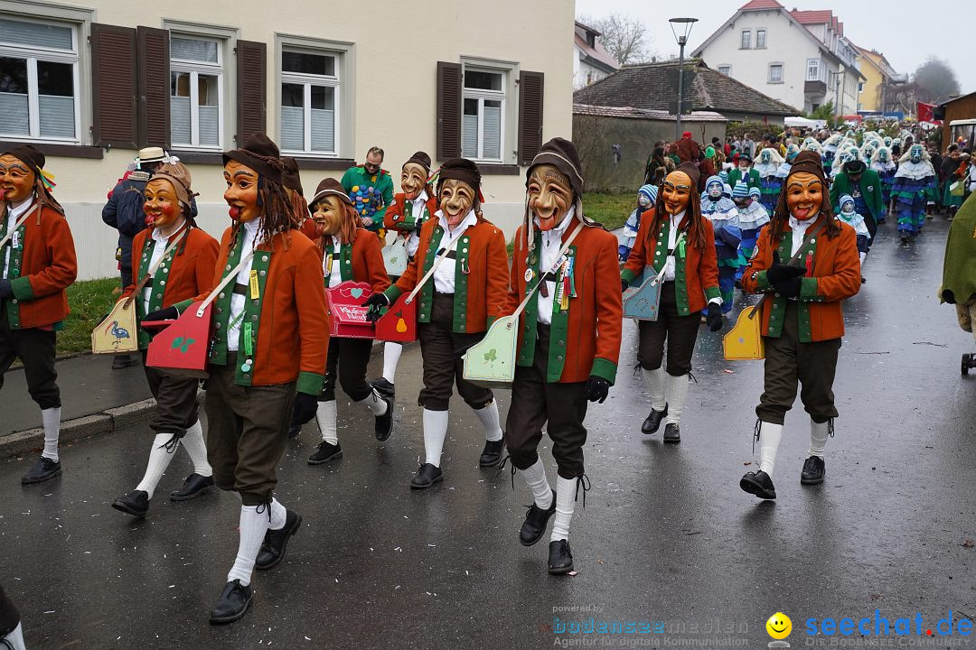 Fasnetsumzug: Heiligenberg am Bodensee, 08.01.2023