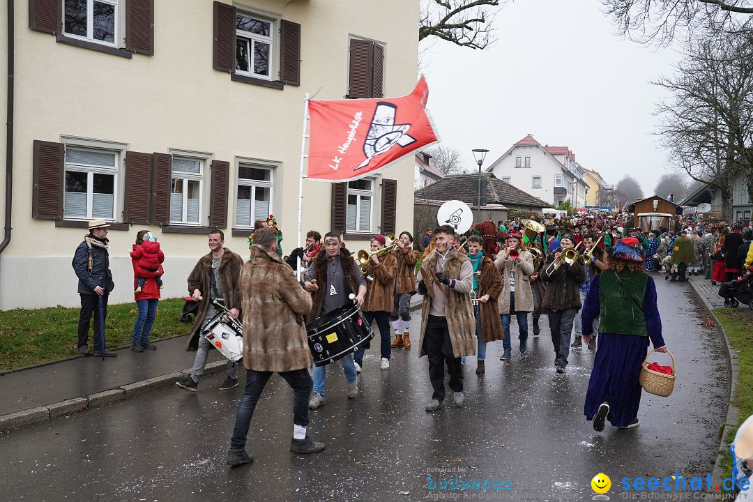 Fasnetsumzug: Heiligenberg am Bodensee, 08.01.2023