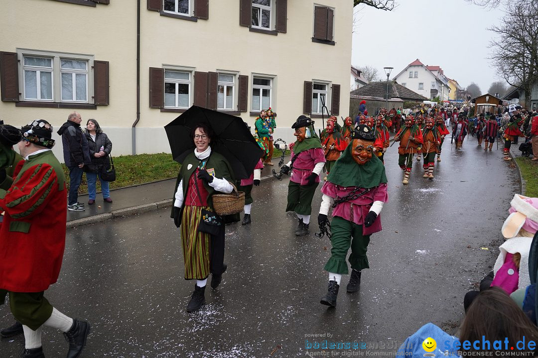 Fasnetsumzug: Heiligenberg am Bodensee, 08.01.2023