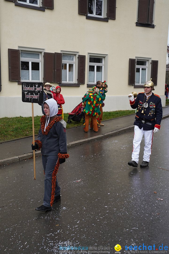 Fasnetsumzug: Heiligenberg am Bodensee, 08.01.2023