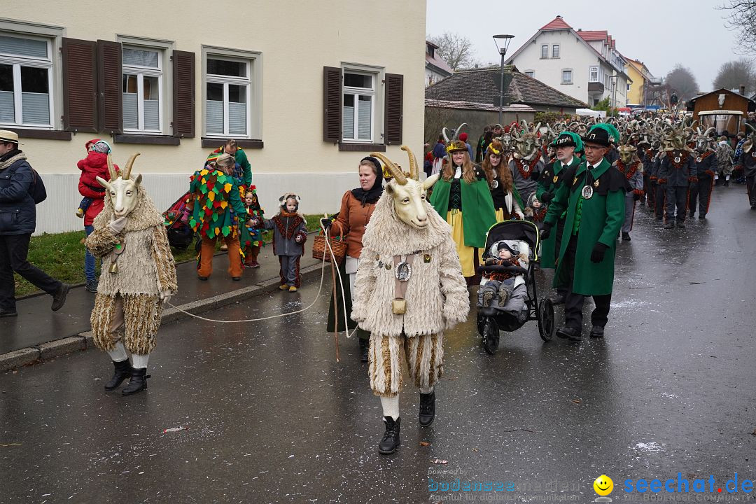 Fasnetsumzug: Heiligenberg am Bodensee, 08.01.2023