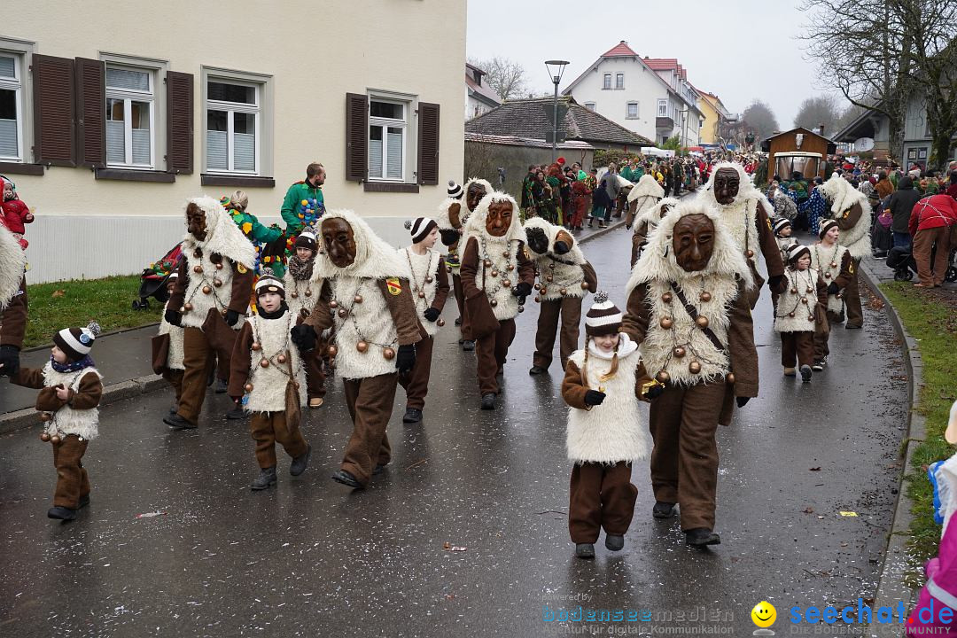 Fasnetsumzug: Heiligenberg am Bodensee, 08.01.2023