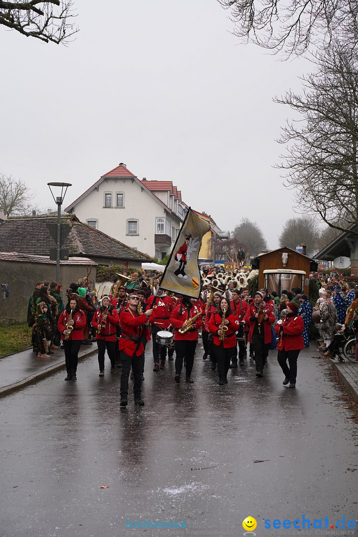 Fasnetsumzug: Heiligenberg am Bodensee, 08.01.2023